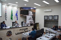 Câmara aprova implantação do “Botão do Pânico” para mulheres vítimas de violência doméstica