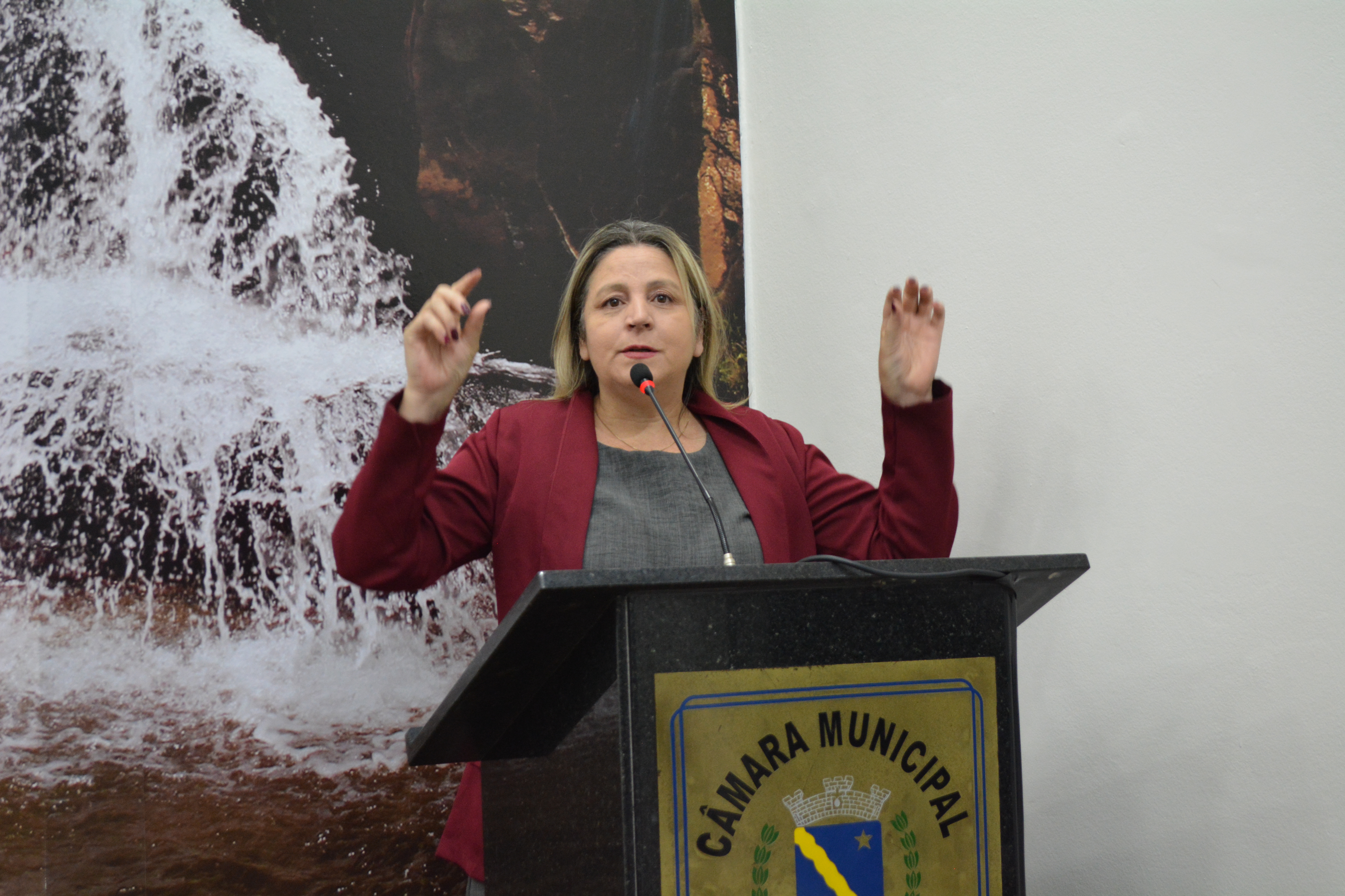 Câmara de Votorantim aprova requerimento sobre planejamento do novo Plano Municipal de Educação