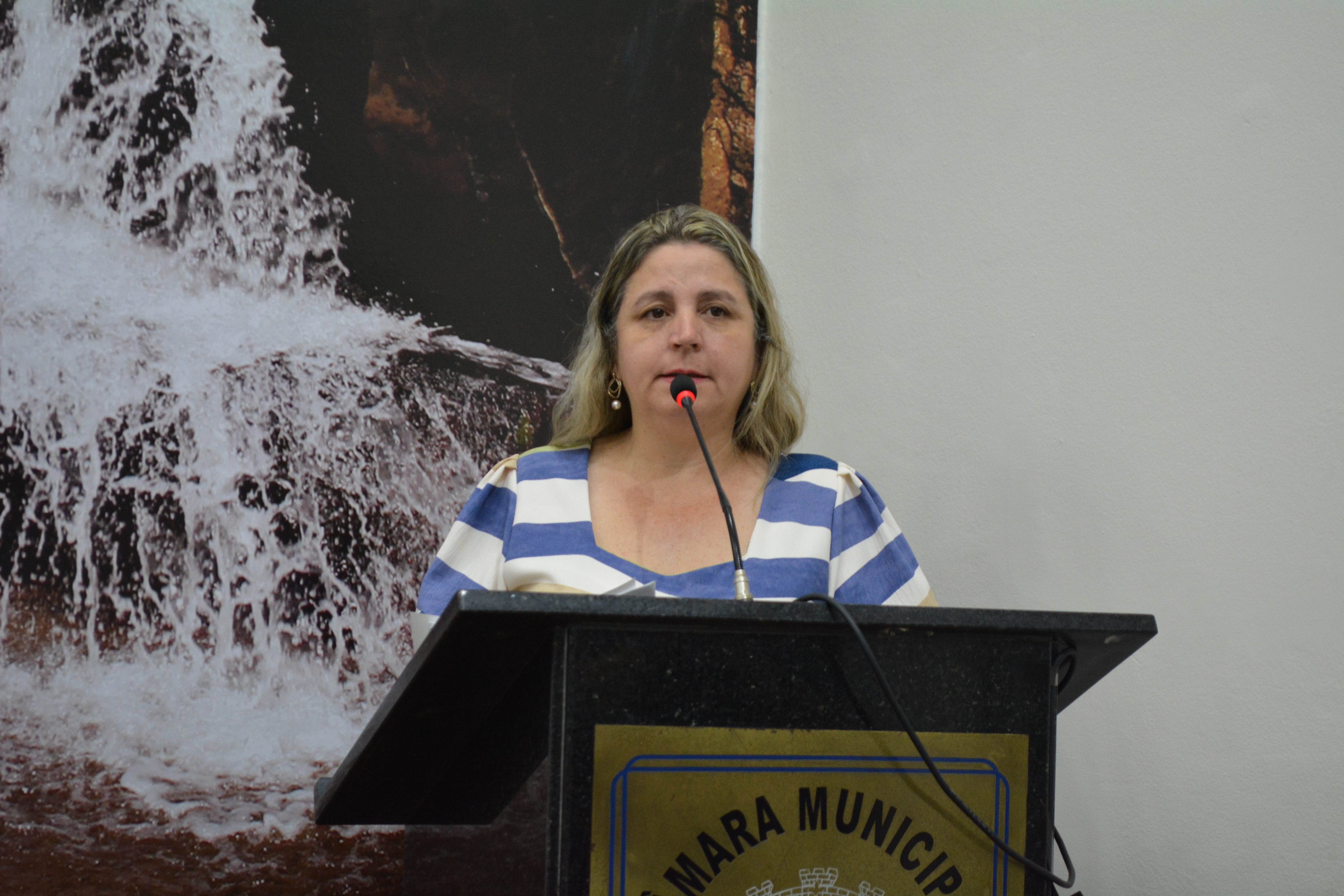 Câmara de Votorantim questiona ações de combate aos maus-tratos contra animais