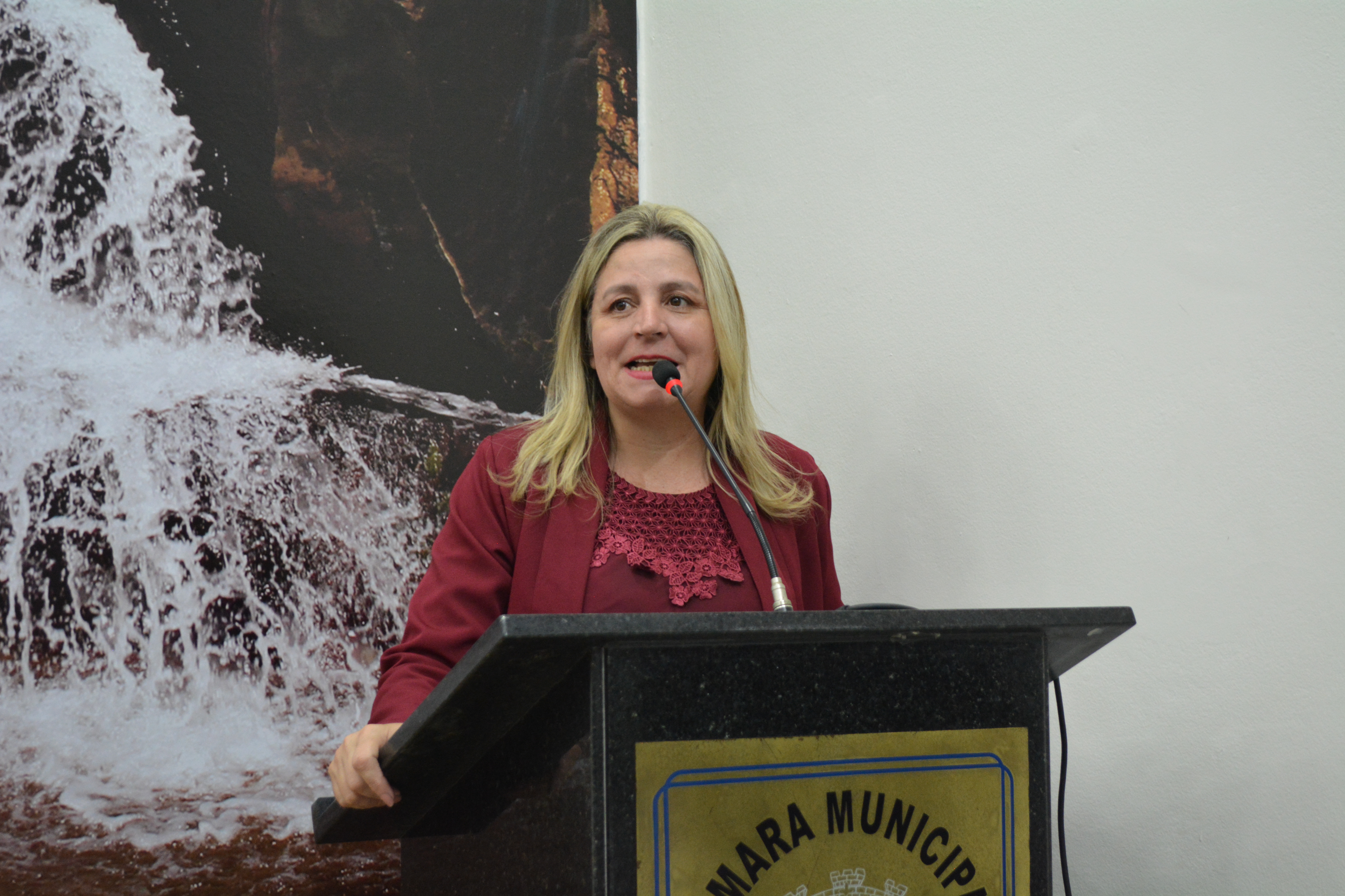 Câmara declara entidade cultural como de utilidade pública em Votorantim