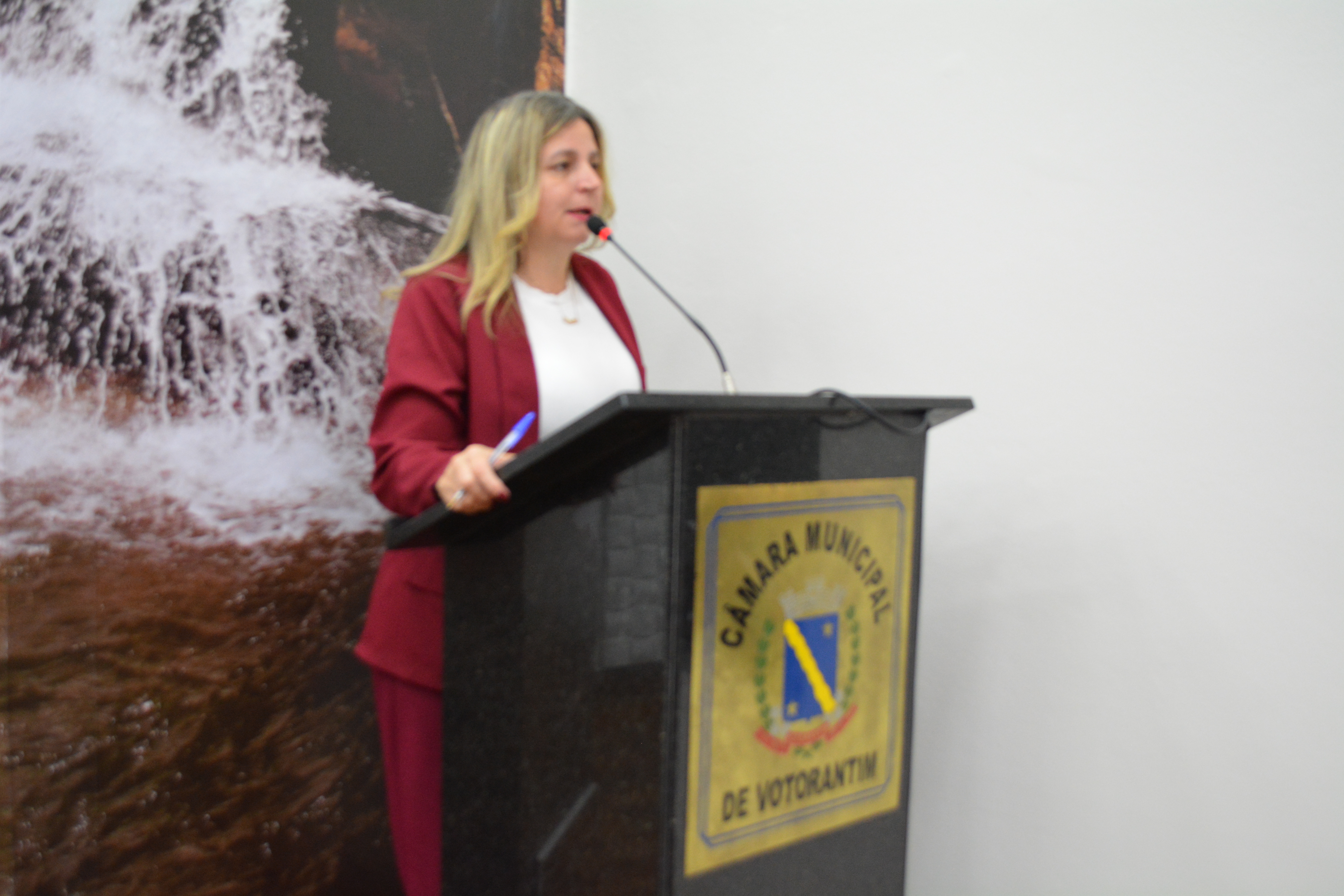 Parlamentar pede identificação de veículos da frota municipal