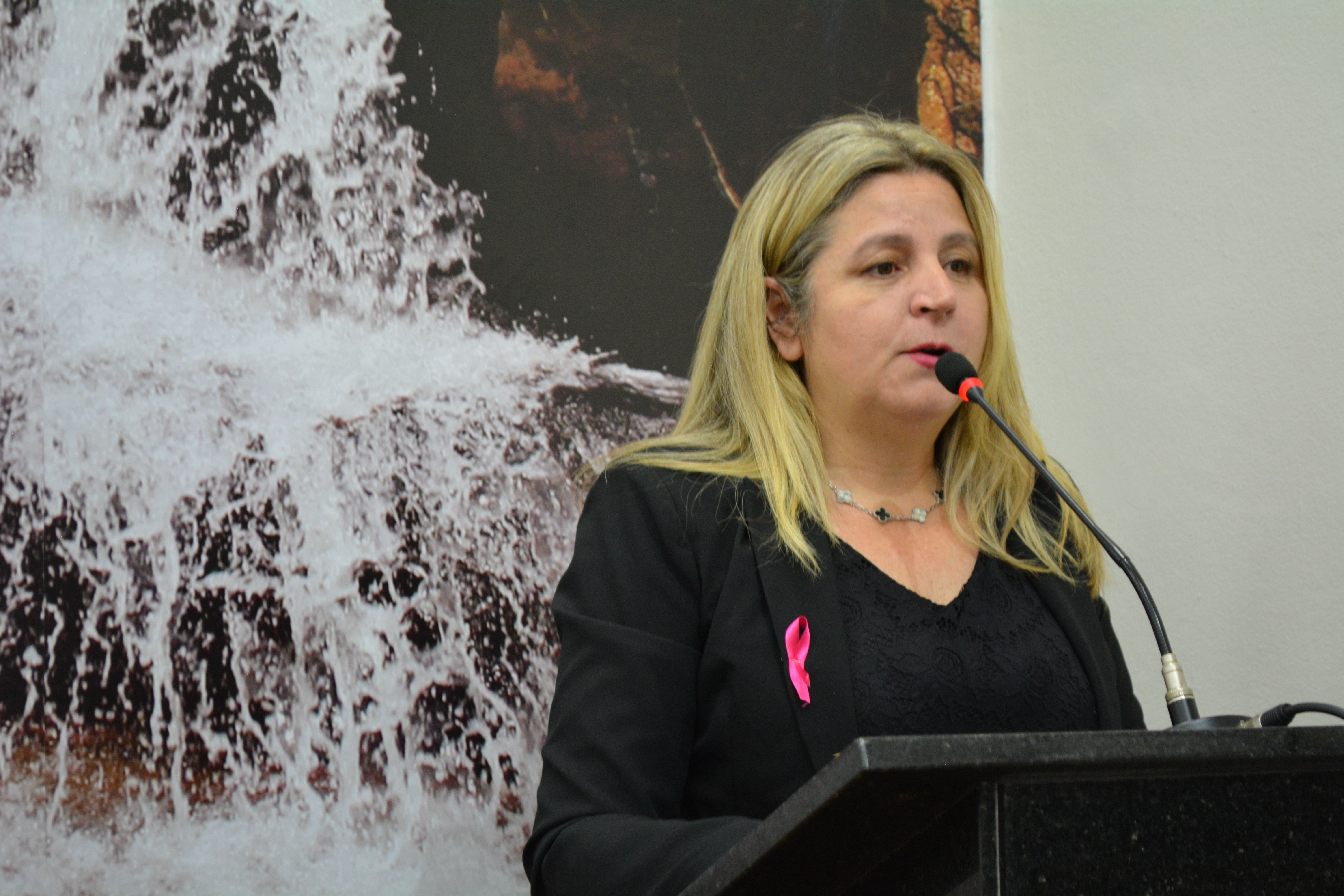 Parlamentar solicita informações sobre fornecimento de medicamentos por ordem judicial