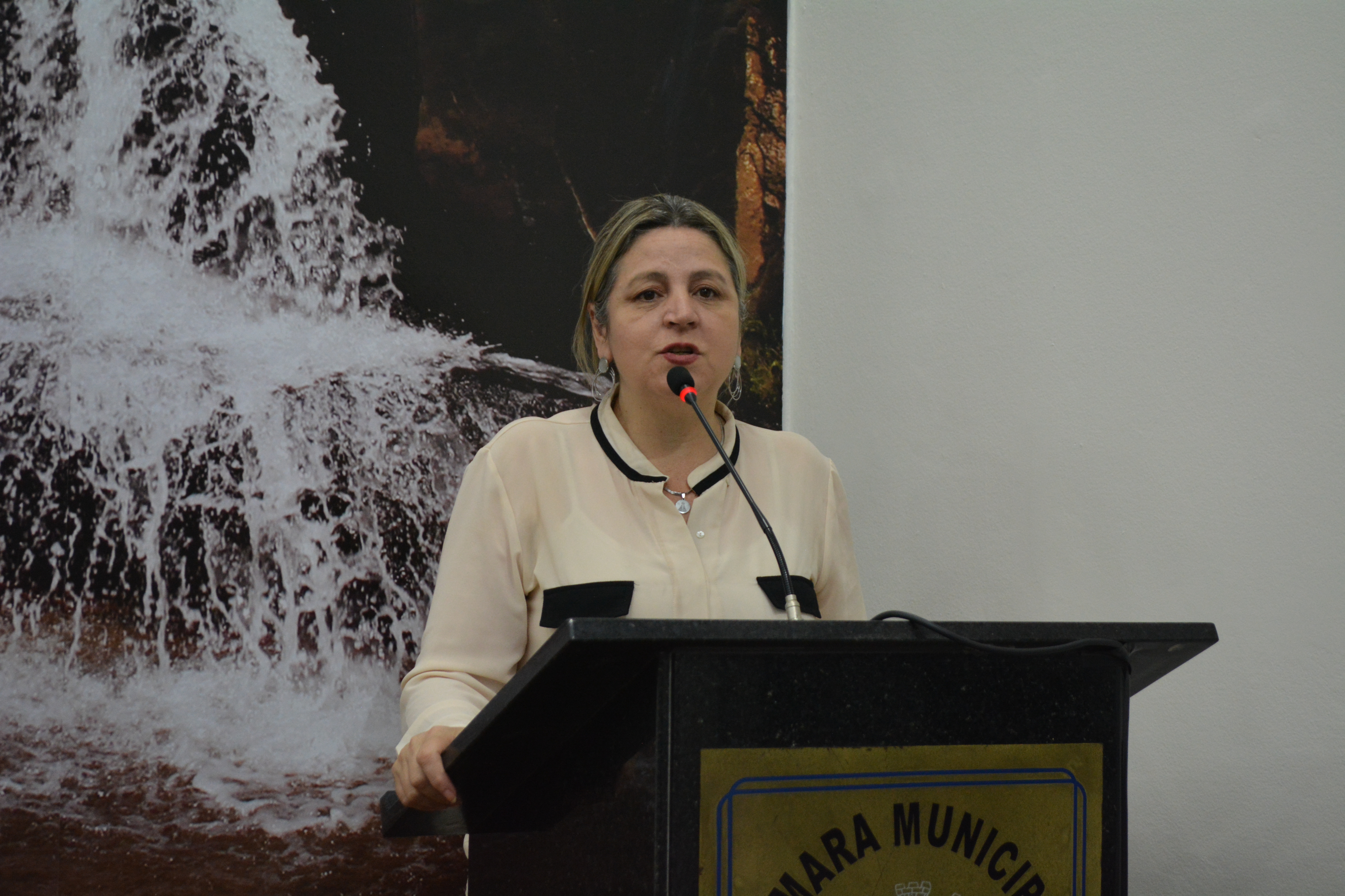 Requerimento sobre condições do transporte público é aprovado na 42ª Sessão Ordinária