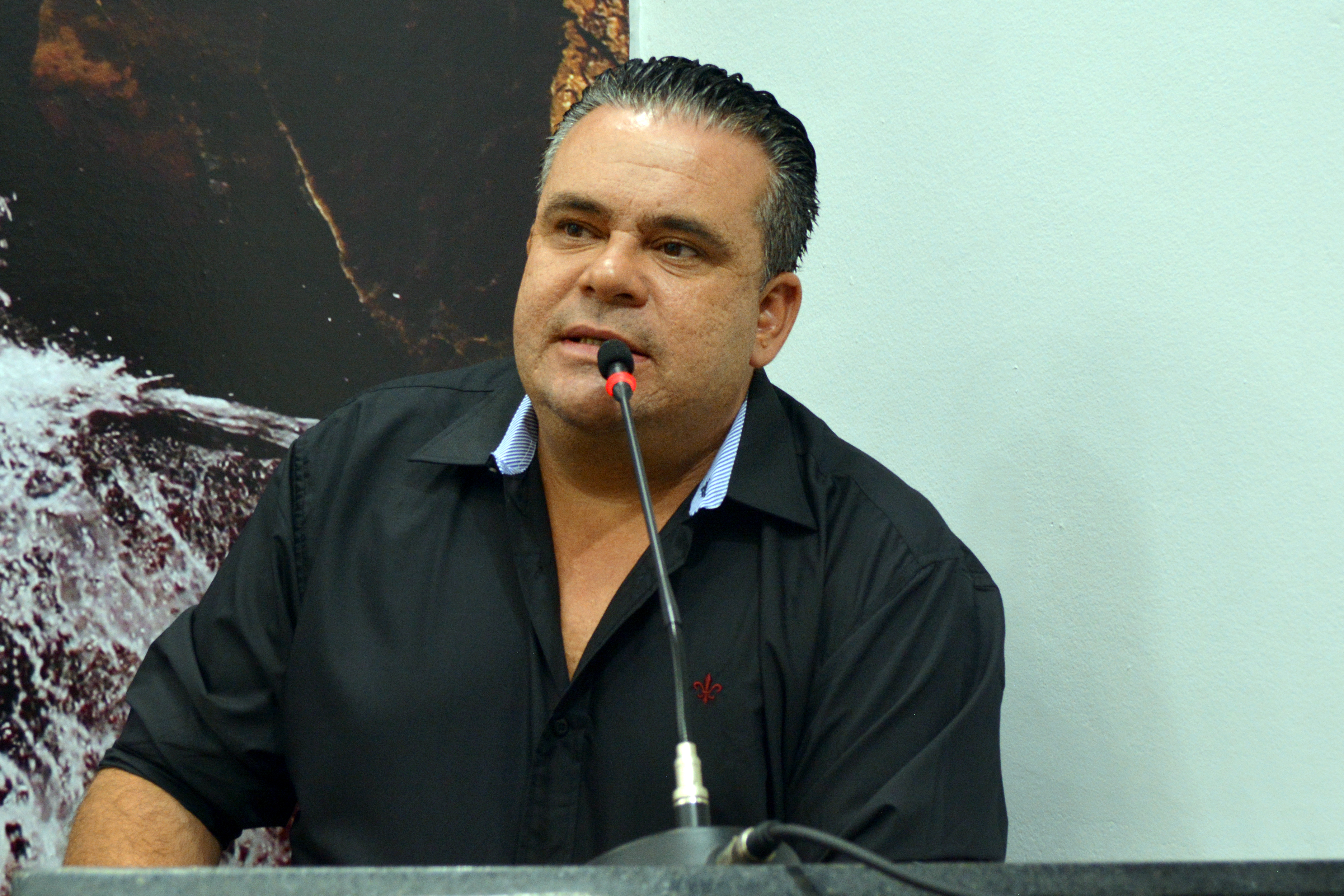 Vereador solicita informações sobre a poda de árvores que apresentam risco à população