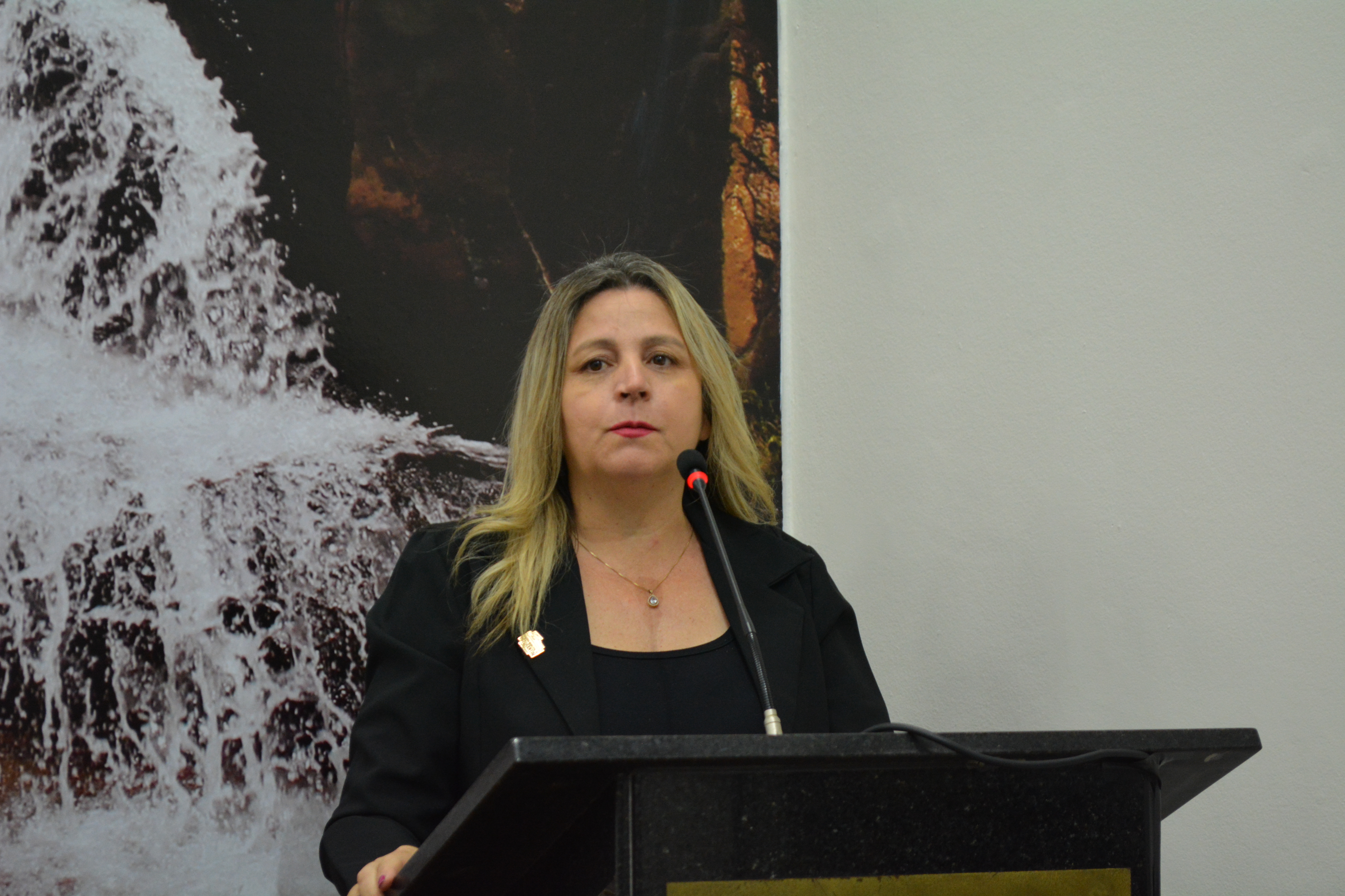 Vereadora pede informações sobre drenagem urbana e problemas em galeria de águas pluviais no Jardim Serrano II