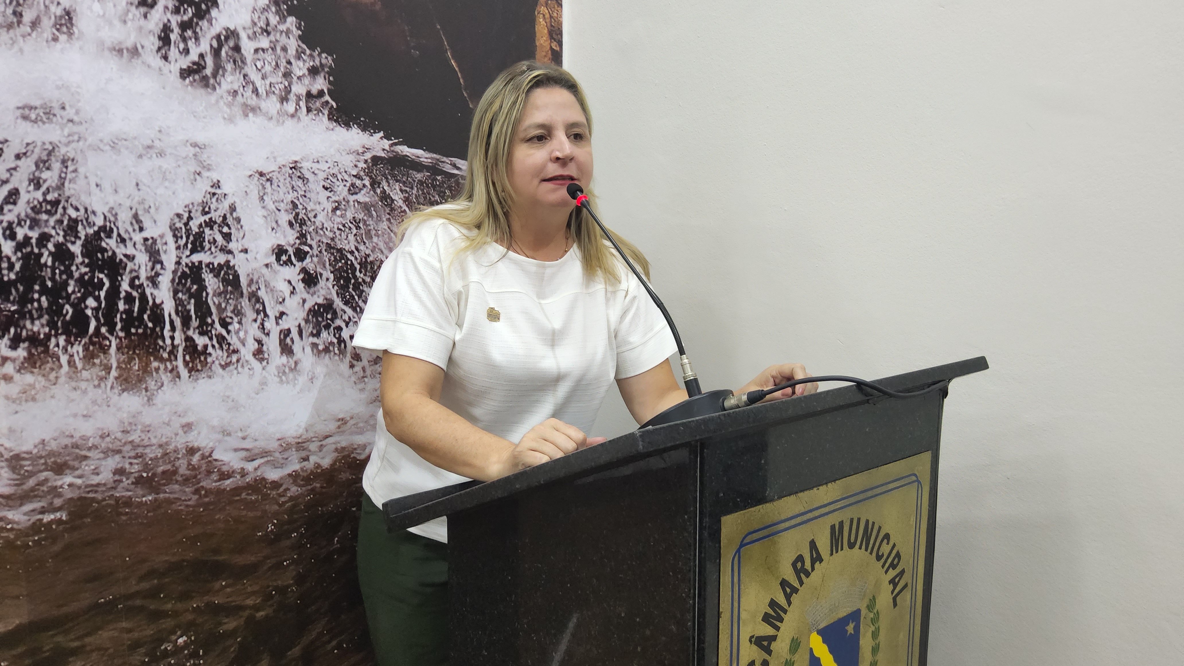 Vereadora quer informações sobre funcionamento e planejamento da Incubadora Empresarial de Votorantim