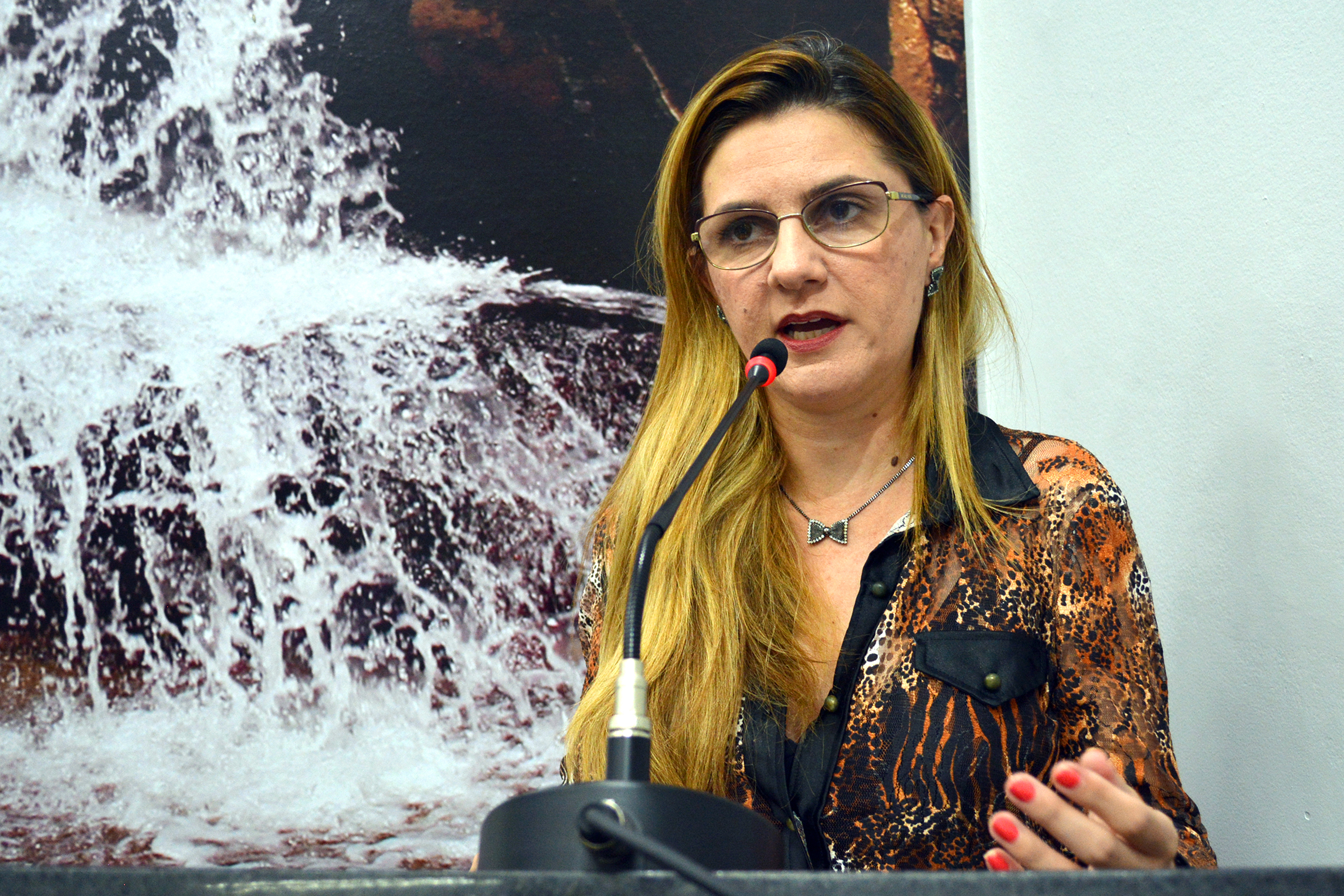 Vereadora questiona qualidade do atendimento de concessionária de transporte urbano