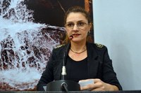 Vereadora questiona termos do contrato para prestação de serviço de iluminação natalina na cidade