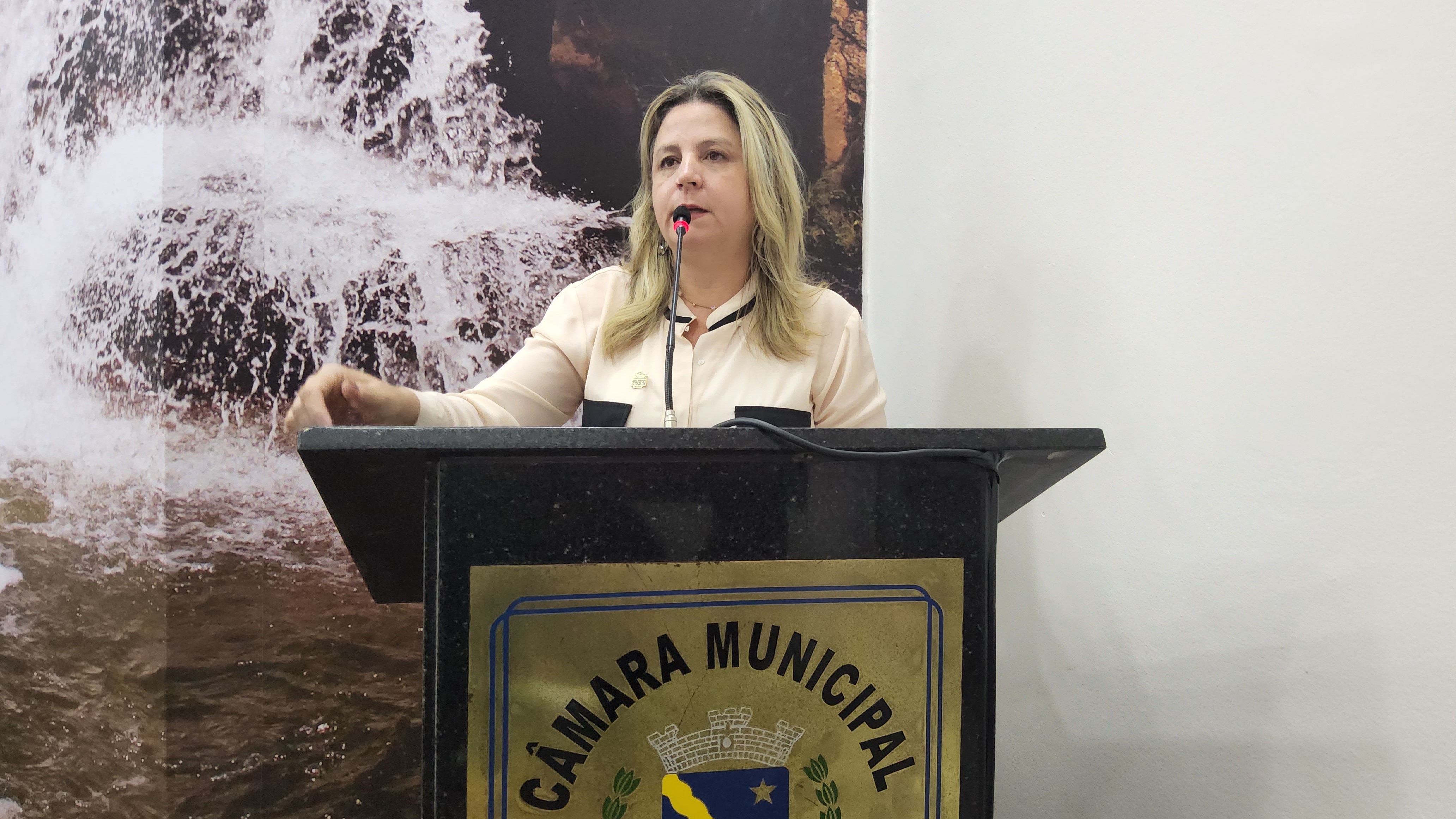 Vereadora solicita revitalização de Praça no Vossoroca